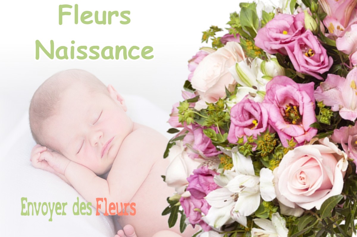 lIVRAISON FLEURS NAISSANCE à BROISSIA